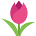 emojitwo-tulip
