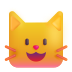 fluentui-grinning-cat