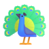 fluentui-peacock