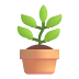 fluentui-potted-plant