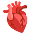 noto-anatomical-heart
