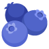 noto-blueberries