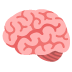 noto-brain