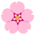 noto-cherry-blossom