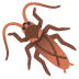 noto-cockroach