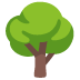 noto-deciduous-tree