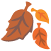 noto-fallen-leaf