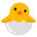 noto-hatching-chick