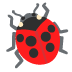 noto-lady-beetle