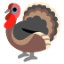 noto-turkey