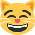 twemoji-grinning-cat-with-smiling-eyes